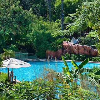 Disney's Animal Kingdom Villas - Kidani Village — Pool