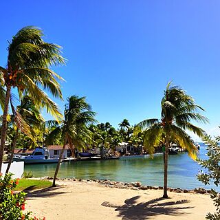 Caloosa Cove Resort — Exterior