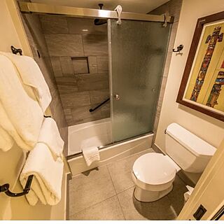 Copper Creek Villas & Cabins at Disney's Wilderness Lodge — Sample studio bathroom