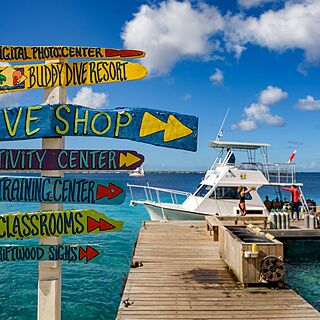 Buddy Dive Resort — Dock