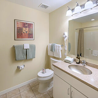 Villages Resort at Lake Palestine — Bathroom