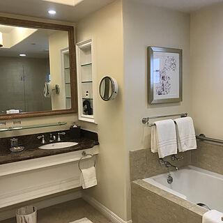 Four Seasons Residence Club Aviara &mdash; Sample bathroom