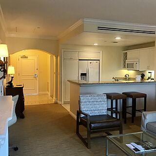 Four Seasons Residence Club Aviara &mdash; Sample living room