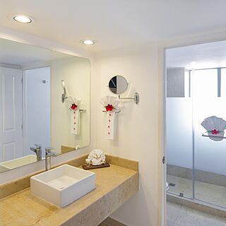 Tesoro Ixtapa — Bathroom