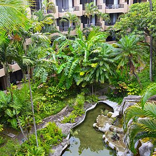 Aston Paki Maui — Grounds
