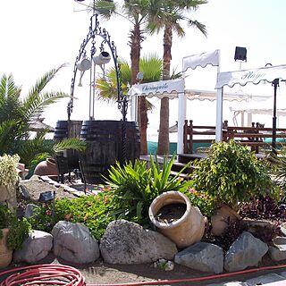 Edificio Palm Beach — - Restaurants