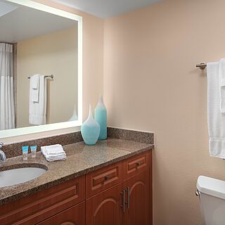 Vistana Beach Club — Sample Bathroom