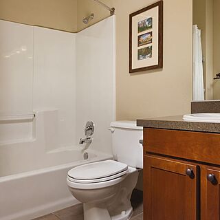 WorldMark Bass Lake — Sample Bathroom