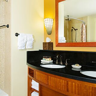 Aulani, a Disney Resort & Spa &mdash; Sample Bathroom