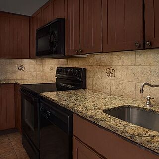 Disney's Animal Kingdom Villas - Jambo House &mdash; Sample Kitchen