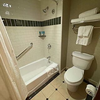 The Villas at Disney's Grand Californian Hotel & Spa — Sample Deluxe Studio Bathroom