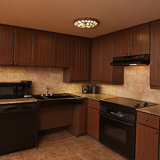 Disney's Animal Kingdom Villas - Kidani Village — Sample One-Bedroom Villa Kitchen