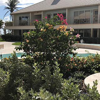 Dover House Resort — Courtyard