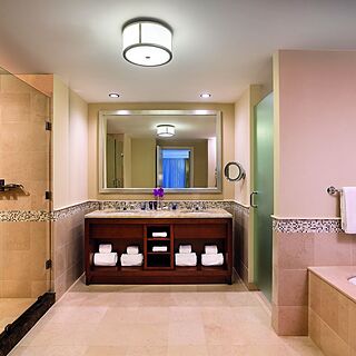 The Ritz-Carlton, Aruba — Bathroom