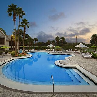 Marriott's Sabal Palms — Pool