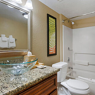 Orlando's Sunshine Resort — Sample Bathroom