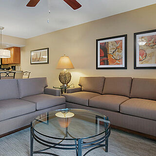 Orlando's Sunshine Resort — Sample Living Area
