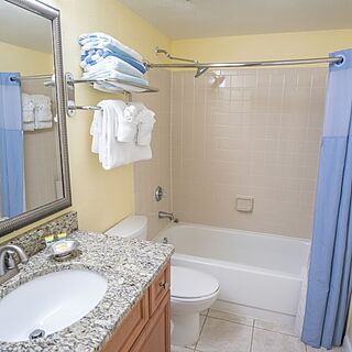 Blue Tree Resort at Lake Buena Vista — Sample Bathroom