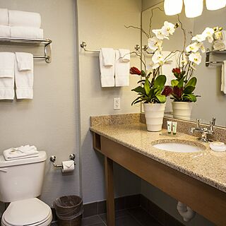 Worldgate Resort — Sample Bathroom