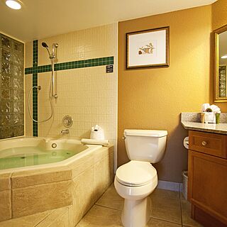 Legacy Vacation Club Orlando - Oaks — Sample Bathroom