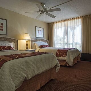 Magic Tree Resort — Sample Bedroom