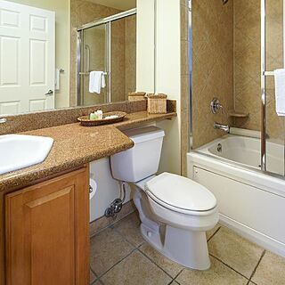 Tahiti Resort &mdash; Sample Bathroom