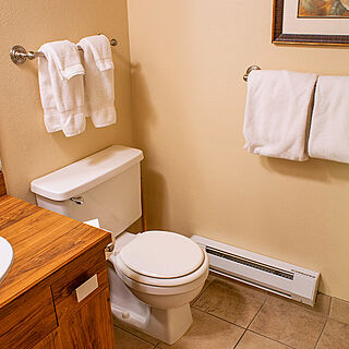 Habitat On Trail Creek — Sample Bathroom