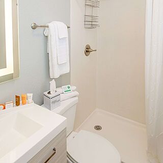Frenchmen Orleans at 519 — Sample Bathroom