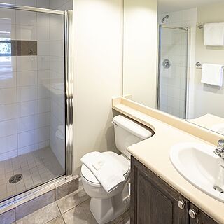 Whiski Jack at the Tyndall Stone Lodge — Sample Bathroom