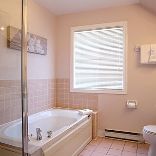 Law Cranberry Resort Limited (Club Cranberry) — Sample Bathroom
