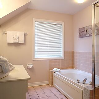 Law Cranberry Resort Limited (Club Cranberry) — Sample Bathroom