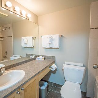 Panorama Vacation Retreat at Horsethief Lodge &mdash; Sample Bathroom