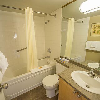 Panorama Vacation Retreat at Horsethief Lodge &mdash; Sample Bathroom