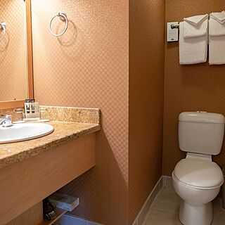 Banff Rocky Mountain Resort — Sample Bathroom