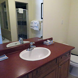 Georgian Bay Hotel & Conference Centre — Sample Bathroom