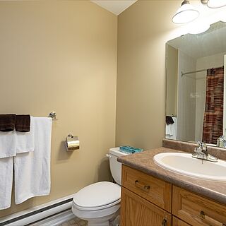 Haliburton Heights — Sample Bathroom