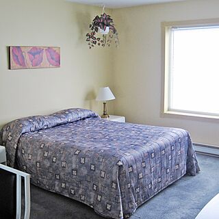 Le Scandinave — Sample Bedroom