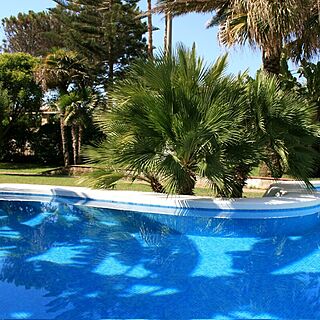Villas Mediterraneas — Pool