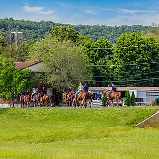 Pocono Mountain Villas &mdash; Horseback riding