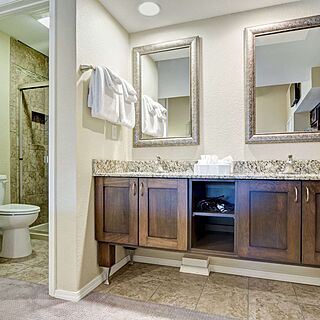 Greensview Branson — Sample Bathroom