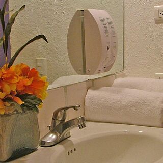 San Felipe Resort — Sample Bathroom