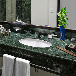 Pyramid Resort Vacation Club — Sample Bathroom