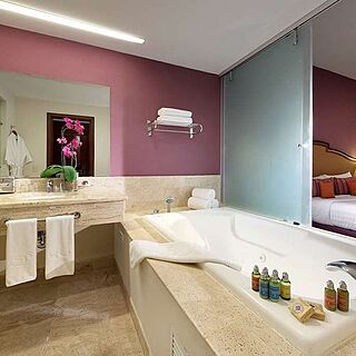 Palladium Vallarta &mdash; Sample Bathroom