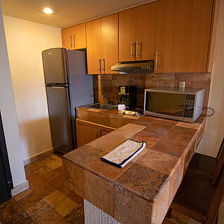 Luna Palace &mdash; Sample Kitchen