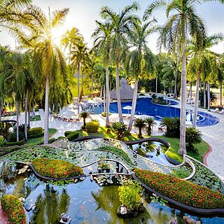 Casa Velas Boutique Hotel — Garden