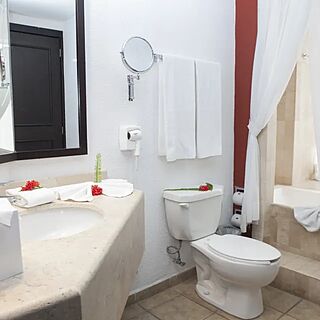 Hotel Bel-Air Puerto Vallarta — Sample Bathroom