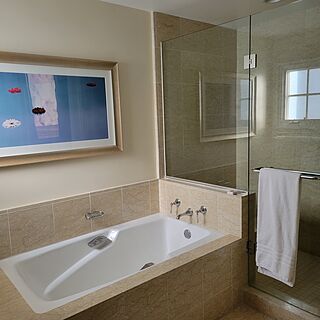 Four Seasons Residence Club Aviara &mdash; Sample bathroom