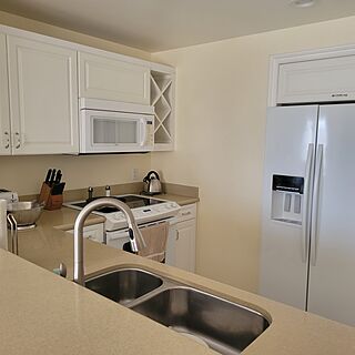 Four Seasons Residence Club Aviara — Sample kitchen