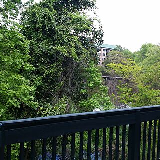 View from Deck