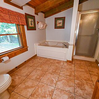 Wilderness Presidential Resort — Sample Bathroom